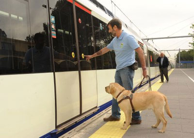 Noticia de Almería 24h: La ONCE entrega dos perros guía en Almería a pesar de la pandemia