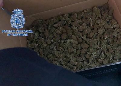 Dos detenidos al intentar enviar marihuana a Blgica a travs de una empresa de paquetera