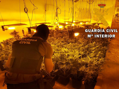 La Guardia Civil localiza una plantacin indoor con 548 plantas de marihuana y neutraliza 29 enganches ilegales