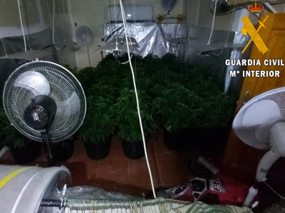 La Guardia Civil detiene a una persona por cultivar marihuana en el stano de su vivienda