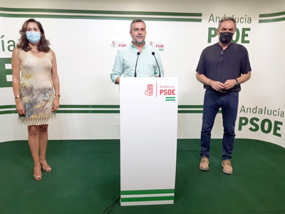 Noticia de Almería 24h: El PSOE pide las dimisiones de Javier Aureliano García y de Fernando Giménez por su gestión a la luz del Caso mascarillas