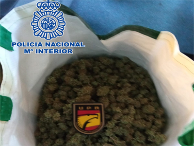 Dos detenidos transportando ms de un kilo de marihuana a plena luz del da en el barrio de los Almendros