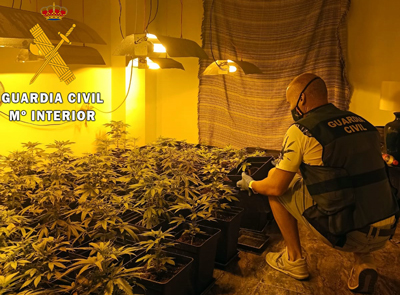La Guardia Civil localiza e intervine en Garrucha un cultivo indoor de marihuana y detiene a su responsable 