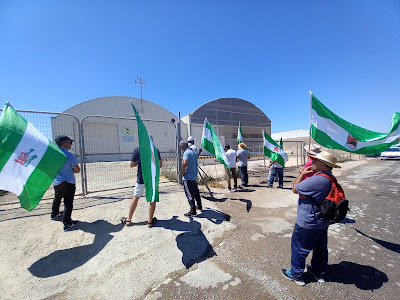 Noticia de Almería 24h: Huelga indefinida de los trabajadores de los invernaderos Casa Nueva Monforte