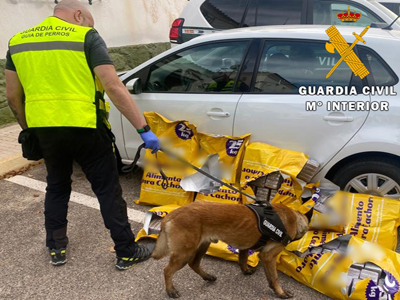 La Guardia Civil detiene a una persona que transporta más de 100 kgs. de hachís por la A7