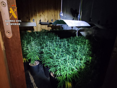 El incendio originado por un enganche fraudulento posibilita la localizacin de un cultivo de marihuana