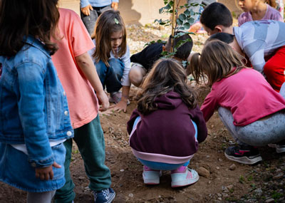 Alumnos de primaria del CEIP Torrequebrada plantan un algarrobo con motivo del Da del rbol