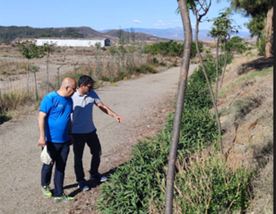 El Ayuntamiento de Hurcal-Overa planta 200 rboles en la Va Verde, parques y jardines del municipio procedentes del Plan Savia