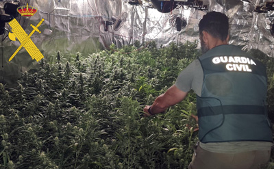 Noticia de Almera 24h: Detenido un joven de 21 aos que haba convertido una nave en desuso en un sofisticado cultivo indoor de marihuana