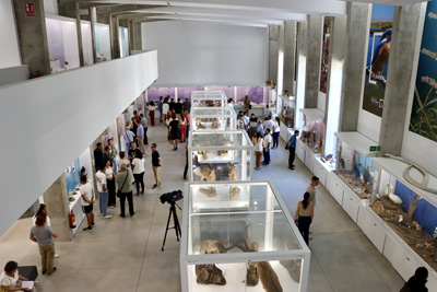 Noticia de Almera 24h: El Pabelln de Historia Natural de la Universidad de Almera, epicentro del Da Mundial del Medio Ambiente