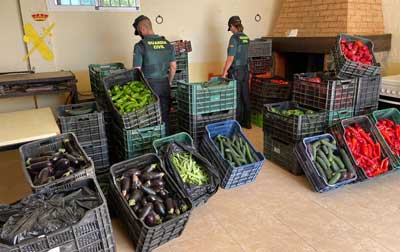 Noticia de Almera 24h: La Guardia Civil recupera ms de una tonelada de verduras robadas en la comarca del Almanzora
