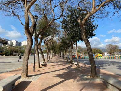 Noticia de Almera 24h: IU propone la creacin de una ordenanza de parques y jardines