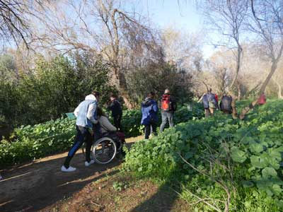 Verdiblanca Abre El Plazo De Ecoturismo Activo Para Personas Con Discapacidad