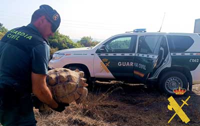 La Guardia Civil de Almera realiza actuaciones preventivas para proteger la biodiversidad marina y terrestre 