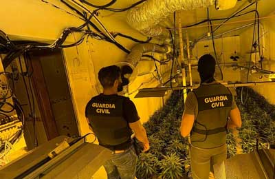 La Guardia Civil neutraliza un centro de produccin de marihuana que ocupaba tres viviendas colindantes en Vcar