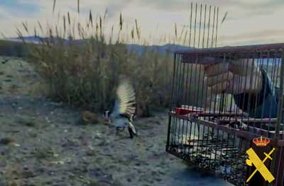 Sorprendido capturando aves protegidas con mtodos prohibidos en el Parque Natural Cabo de Gata