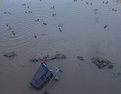 Izquierda Unida y Podemos recuperan la mocin sobre prevencin de daos por lluvias en Roquetas de Mar