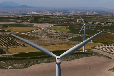 Grupos ecologistas reclaman al Gobierno que retire la tramitacin ambiental exprs de renovables