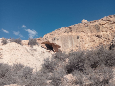 PACMA alerta de un posible colapso medioambiental de la provincia de Almera