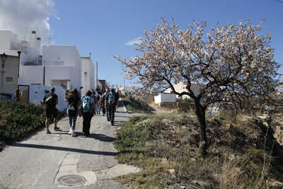 Lucainena de las Torres ser protagonista este domingo 9 de febrero de las Rutas del Almendro en Flor y las Jornadas Gastronmicas de la Almendra