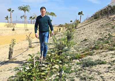 Vera pone en marcha un ambicioso plan de reforestacin y repoblacin vegetal urbana