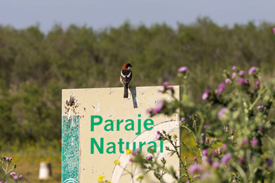 Noticia de Almera 24h: La fotografa ‘Donde empieza el compromiso’ gana el V Concurso ‘Cmo ves t el Antropoceno’ de la UAL