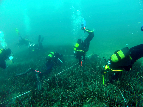 La Junta instala 33 boyas para proteger los fondos marinos de Almera, dentro del Proyecto Life+Posidonia