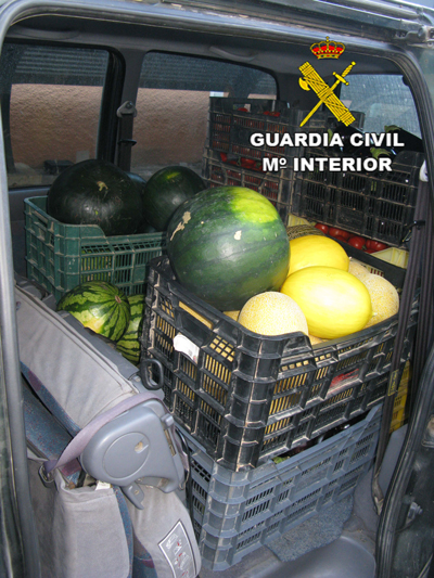 Son sorprendidos trasladando frutas y verduras robadas en dos furgonetas