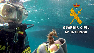 La Guardia Civil retira una red de pesca de 30 metros sumergida en Vela Blanca, Cabo de Gata