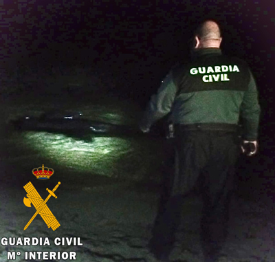La Guardia Civil presta seguridad y apoyo a los tcnicos de Equinac en el varamiento de un caldern comn 