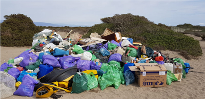 Limpiar playas para cambiar el mundo