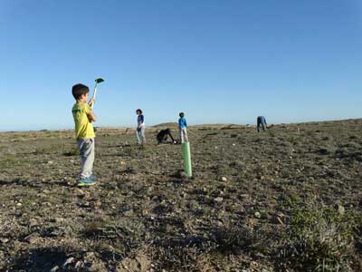 Voluntarios de Serbal repueblan con Azufaifos en el Parque Natural Cabo de Gata-Nijar