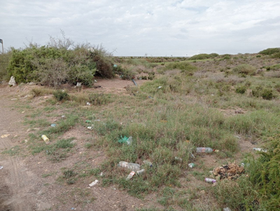 PACMA recrimina al Ayuntamiento de Almera su "incapacidad" para mantener "espacios rurales higinicos"